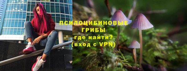 мяу мяу мука Надым
