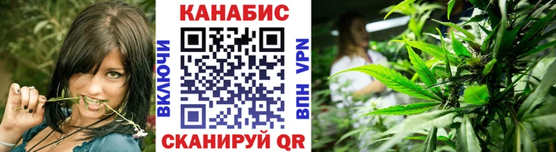 продажа наркотиков  Зверево  Конопля ГИДРОПОН 